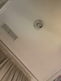 EroticVenetian webcam model stream image