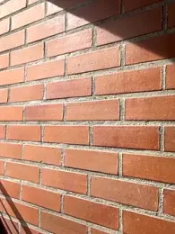 star_anastasia webcam stripchat model stream image