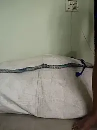 Desi_Bhabi_01 webcam model stream image