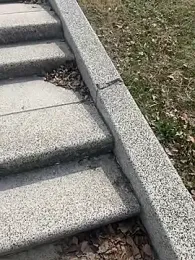 min9811 webcam model stream image