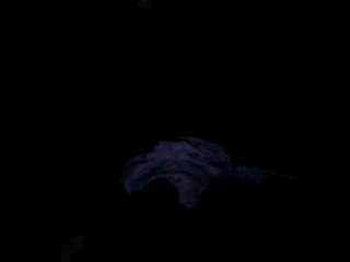 nastythaughts85 webcam model stream image