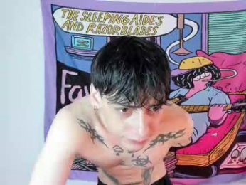 sai_l webcam model stream image