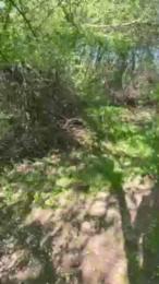 Justfunfranko webcam model stream image