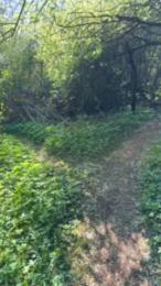 Justfunfranko webcam model stream image