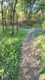 Justfunfranko webcam model stream image