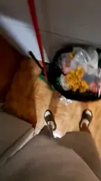 tula_chyk webcam model stream image