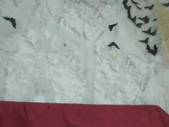 roselinedior webcam chaturbate model stream image