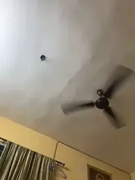 JUICYHARDICK webcam model stream image