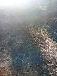 i_fatme webcam model stream image