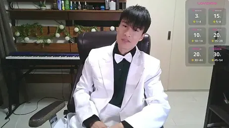 IroManager webcam model stream image