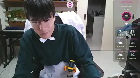 IroManager webcam model stream image