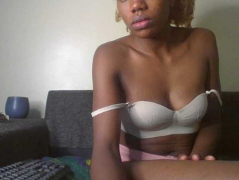 BBQ-Fluid webcam model stream image