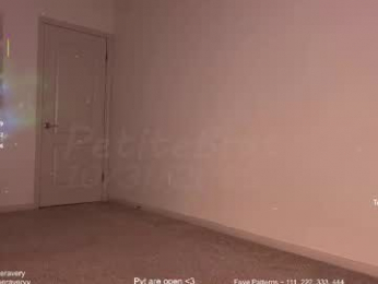 petitebrat webcam model stream image