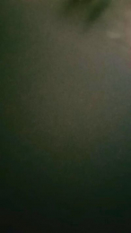 Flaitesitoriko webcam model stream image