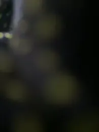 lovebug_69 webcam model stream image