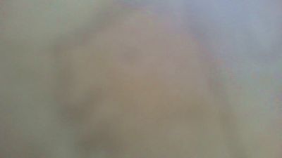 Bogland444 webcam model stream image