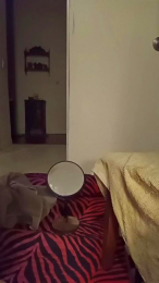 Scorpandcapri41 webcam model stream image