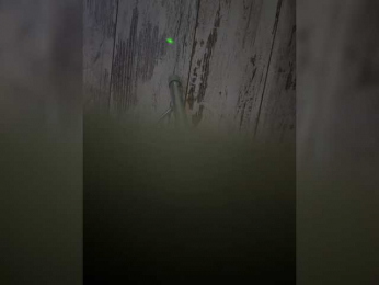 PanterovaEnotovich webcam model stream image