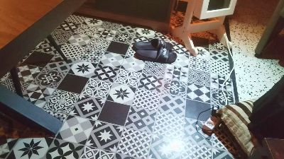 tomliza3 webcam model stream image