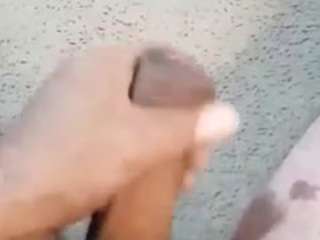 pj7414 webcam model stream image