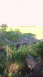 Soy_tupelao47 webcam model stream image