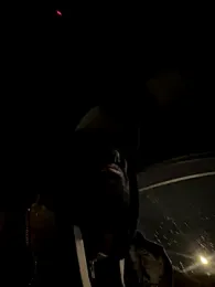 dingoding webcam model stream image