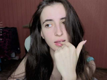 Reaiss webcam model stream image