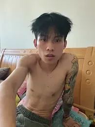 KPL-11 webcam model stream image