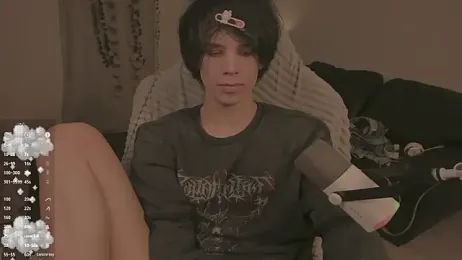 Wampeyes webcam model stream image