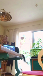 mecsopenkink webcam model stream image