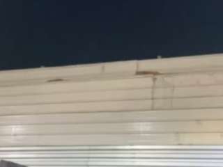 minniefairytale webcam model stream image