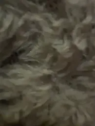 anonimgirl18old webcam stripchat model stream image