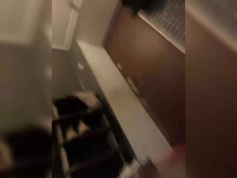 Saveta webcam model stream image