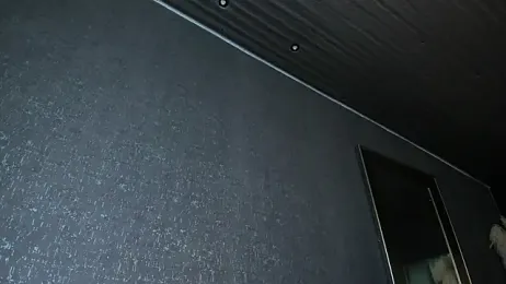 PaulinaDuarte webcam model stream image