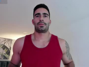 tbastian webcam model stream image