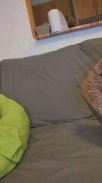 Pareja_81 webcam model stream image