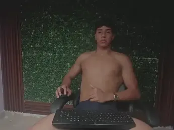 damon_sw webcam model stream image