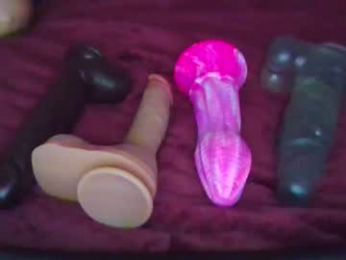 sdbeachfreaks webcam model stream image