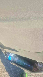 ALEXRED86 webcam model stream image