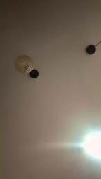 cinti_xxx webcam model stream image