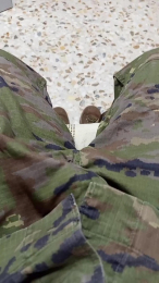 pichi84 webcam model stream image