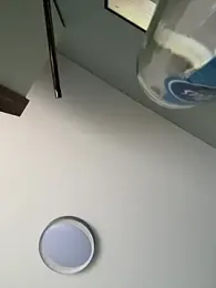 Linus2452 webcam model stream image