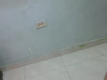 sexxxologo692 webcam chaturbate model stream image