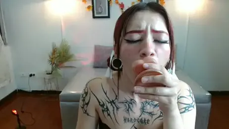 Evanss_lx webcam model stream image