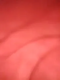 sexy__girls98 webcam model stream image