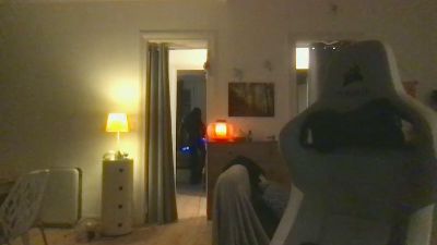 Rubbosaurus webcam model stream image