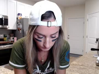 holihurricane webcam model stream image