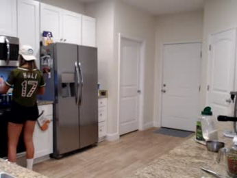 holihurricane webcam model stream image