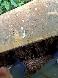 vadszex31 webcam model stream image