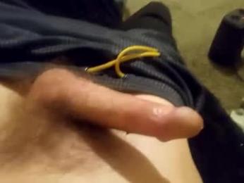 tjf384 webcam model stream image